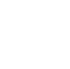 Enterprise Systems